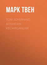 Скачать книгу Tom Soyerning boshidan kechirganlari автора Марк Твен